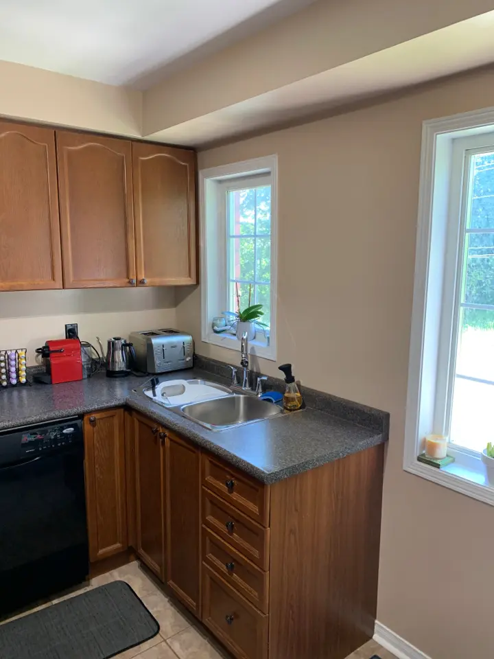 A before renovation kitchen corner with brown cabinets and a black dishwasher, featuring a counter with a red coffee maker, electric kettle, and toaster. A double stainless steel sink is installed under the window, with a potted plant and soap dispenser nearby. The window provides a view outside, enhancing natural light in the space.