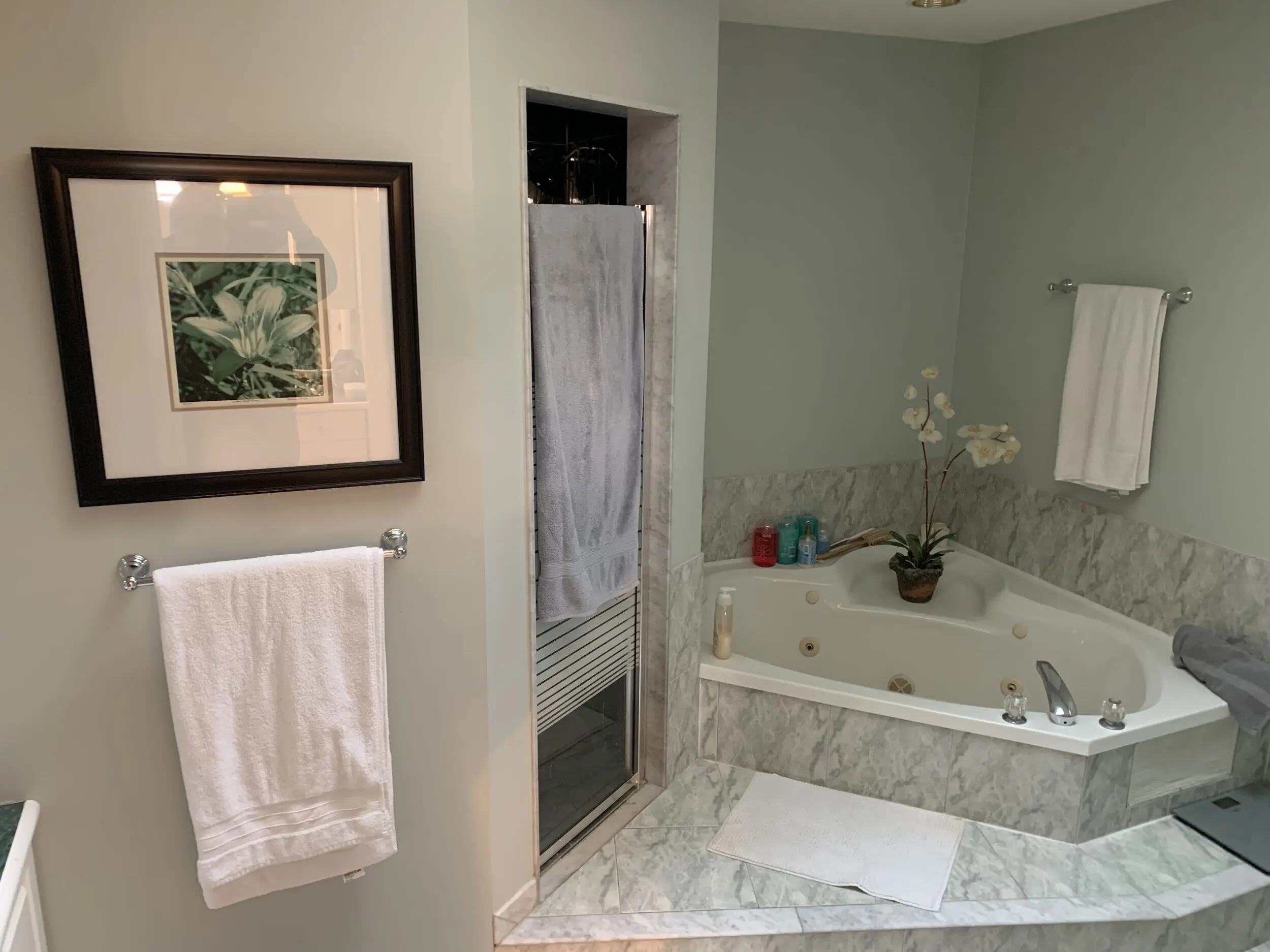 A before renovation Bathroom featuring a white bathtub, a towel rack and a framed picture on the wall.