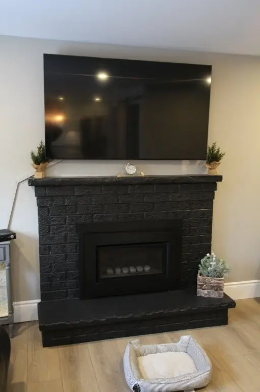 Black brick fireplace with a large flat-screen TV mounted above it, two small potted plants on the mantel, a small clock in the center, and a decorative plant on the right side of the hearth, with a small pet bed on the wooden floor in front.
