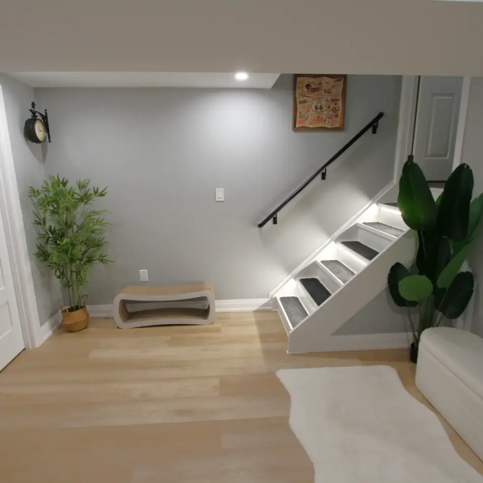 IMG_4026 Modern basement landing with stairs, white door, potted plants, wall decor, and light wood floors